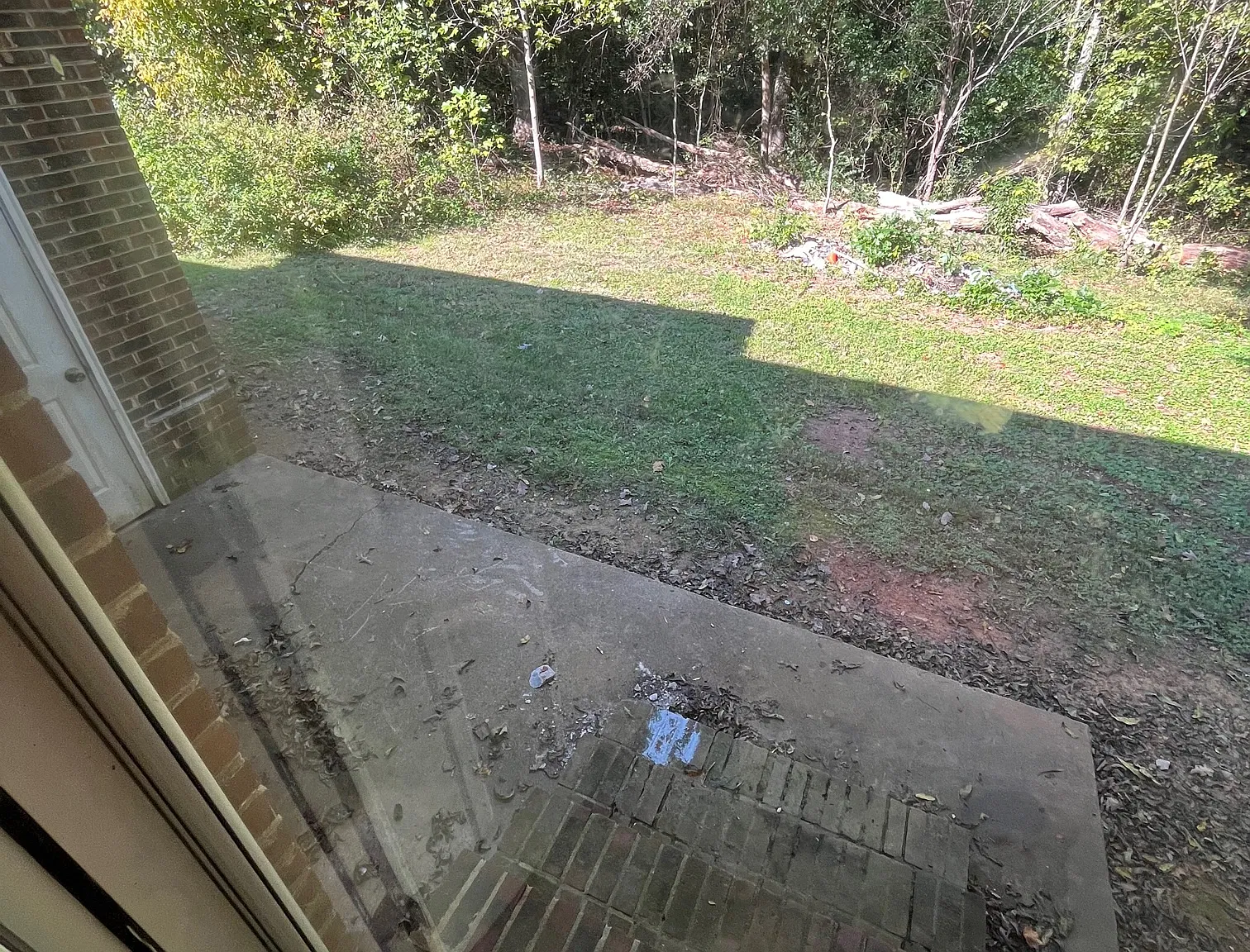 2 bed, $900 — Photo 2
