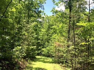 Bear Trak #14, Mineral Bluff, GA 30513