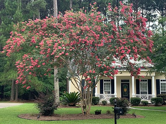 Lots of color and established yard