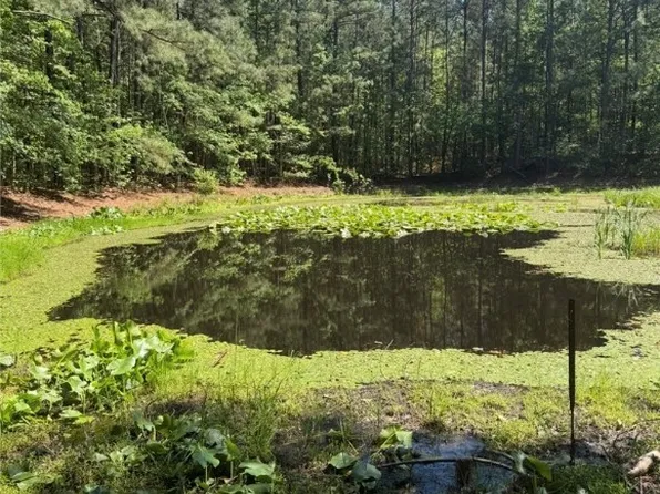 0 Sturgeon Rd, Lawrenceville, VA 23868