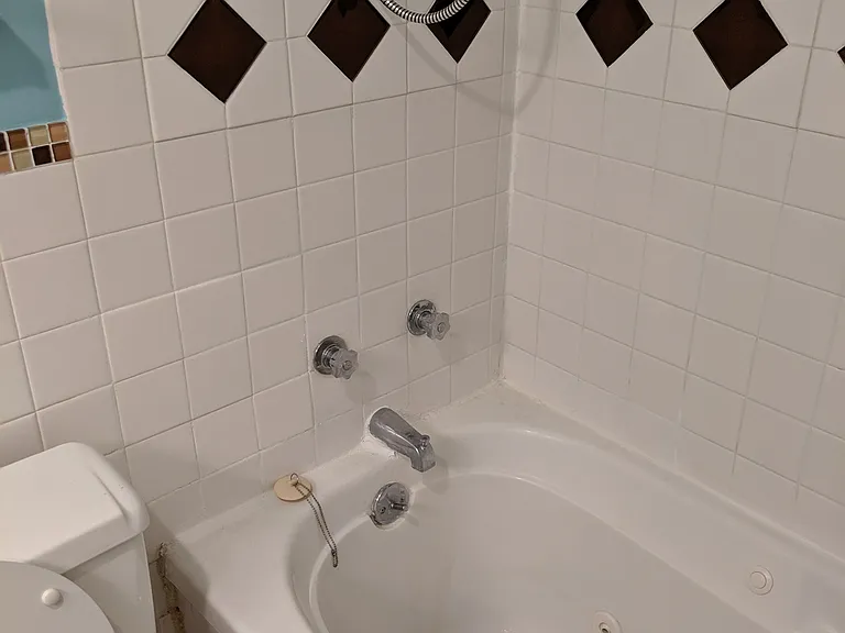 Jacuzzi 6-jetted tub and hand-held shower head