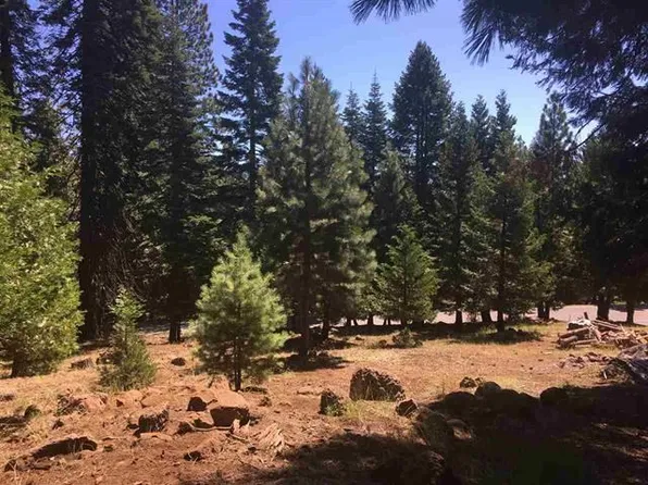 1019 Timber Ridge Rd, Westwood, CA 96137