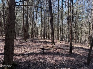 Steep Hill Rd, Beach Lake, PA 18405