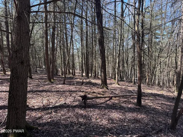 Steep Hill Rd, Beach Lake, PA 18405