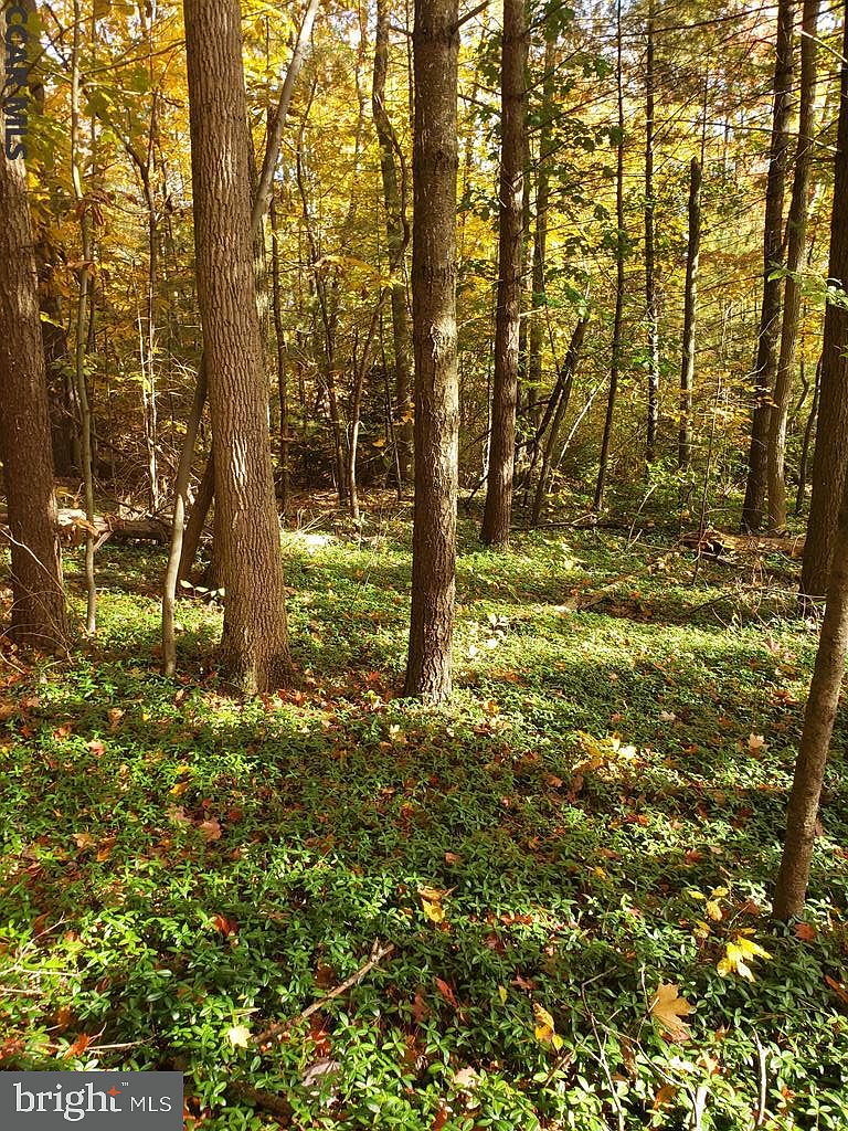 LOT On Madisonburg, Madisonburg, PA 16852 MLS PACE2435320 Zillow