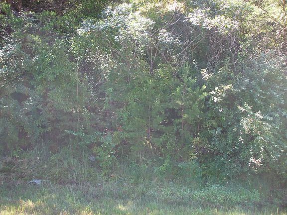5th image of U.S. 23 N Lot 1