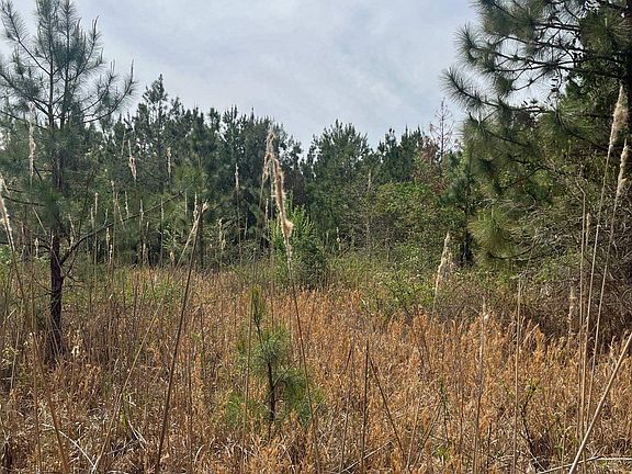 4th image of Bdf 4 Beaverdam Rd #Bdf-4