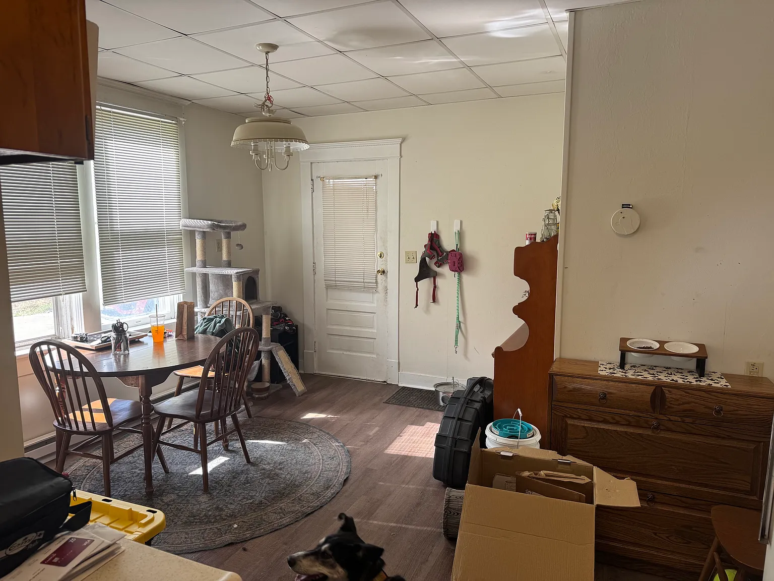 1 bed, 700 sqft, $850 — Photo 3