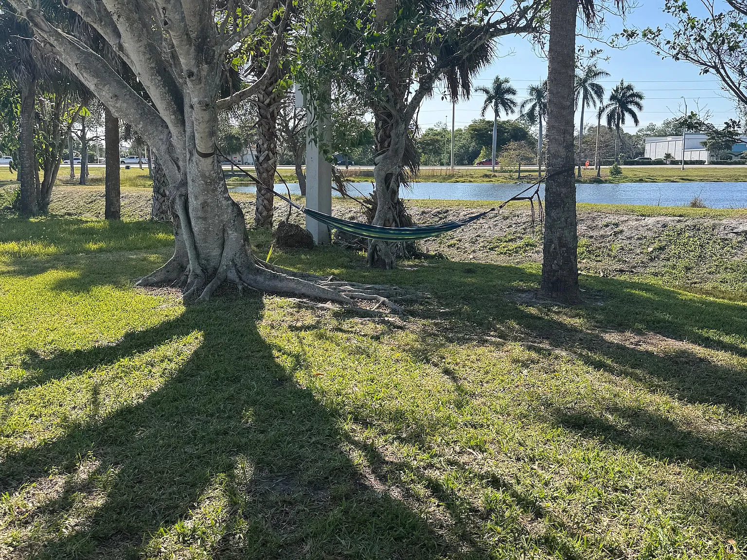 1 bed, 560 sqft, $1,550 — Photo 1