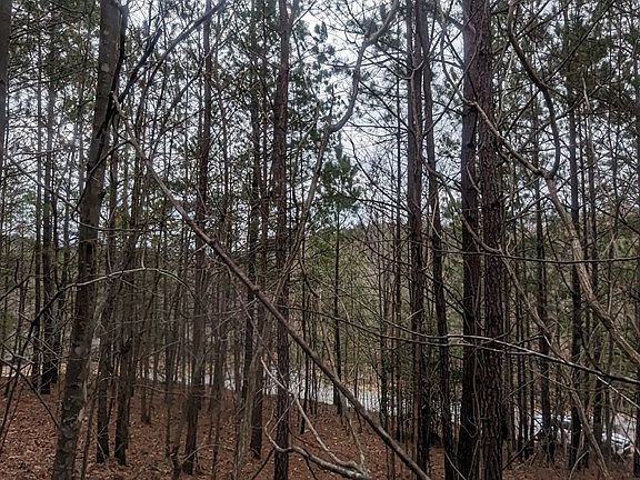 2nd image of LOT 27 Trailwood Dr