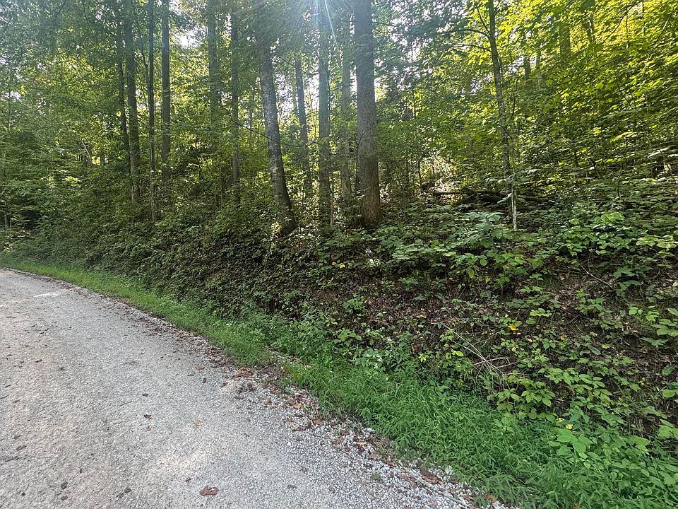 2nd image of 0 Dog Branch Rd