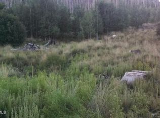 Tbd Carter Canyon Rd #4, Mount Lemmon, AZ 85619