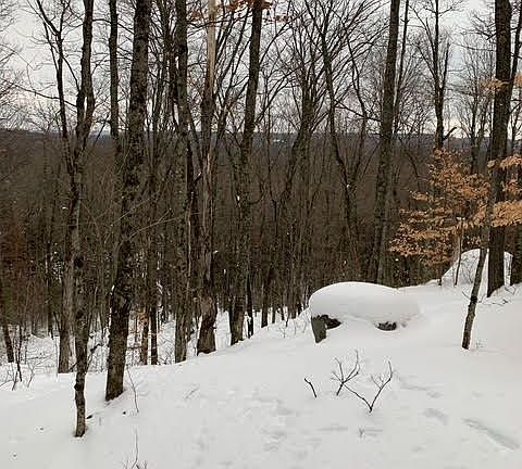 5th image of 440 Riding Ranch Rd