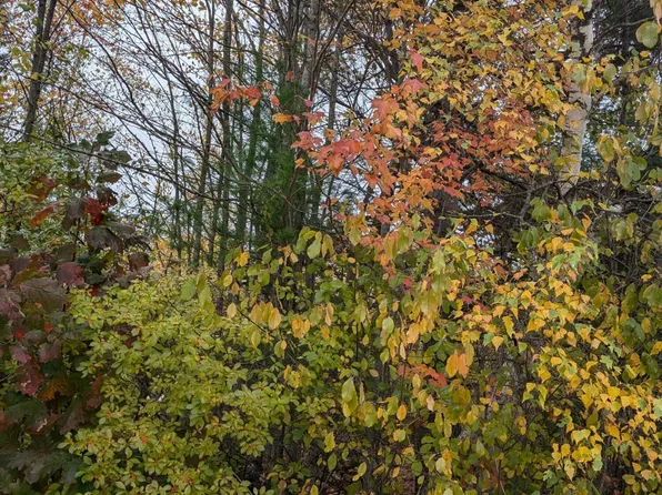 19-04 Acorn Lane, Freedom, ME 04941