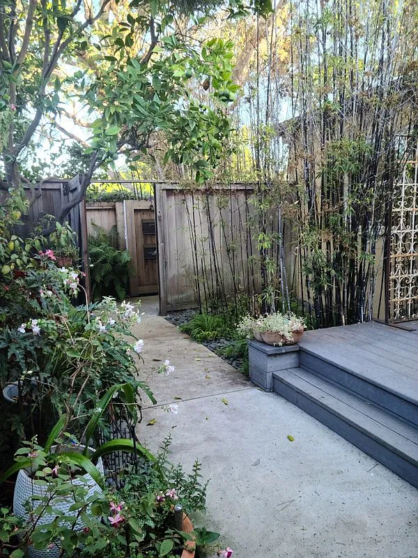 2 bed, 1.0 bath, 790 sqft, $3,575 — Photo 3