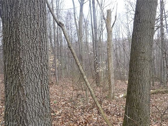 3rd image of 162 Township Rd
