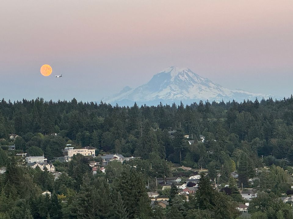 Mt.Rainer view