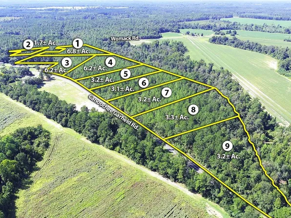 0 Canoochee Garfield Rd, Twin City, GA 30471