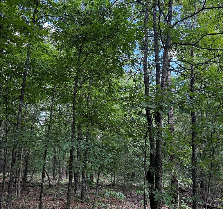 1st image of Madison #6376