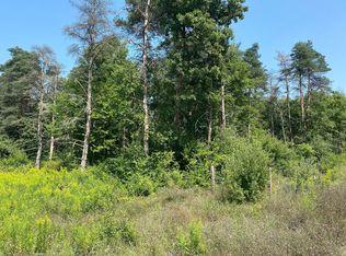 Par 1 Lev Owen Ln, Howard City, MI 49329