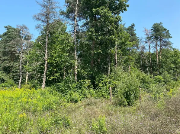 Par 1 Lev Owen Ln, Howard City, MI 49329