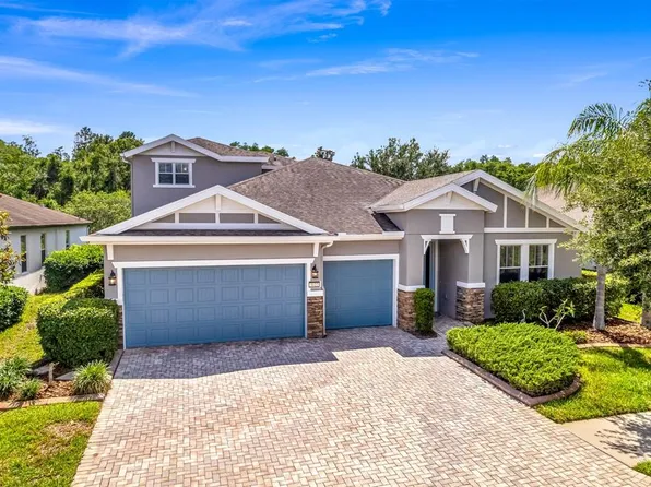 3122 Majestic View Dr, Lutz, FL 33558