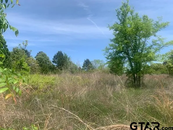 Wild Country Dr, Flint, TX 75762