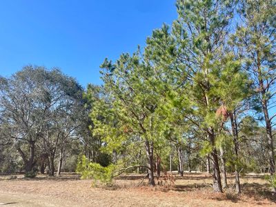 158th Ter, Mc Alpin, FL, 32062