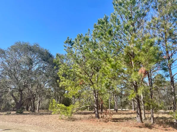 158th Ter, Mc Alpin, FL 32062