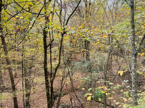 Old Benton Rd, Yazoo City, MS 39194