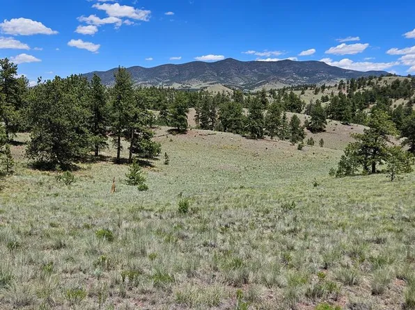 568 Coyote Dr, Guffey, CO 80820