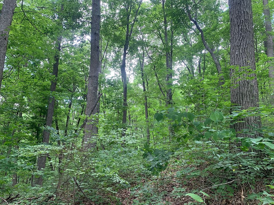 1st image of 321 Thompson Hollow Rd Lot Wp001