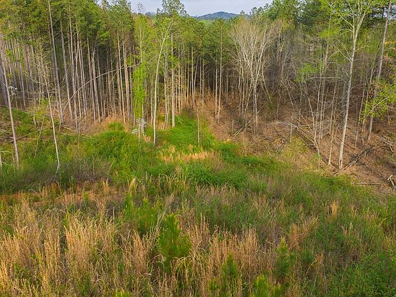 3rd image of LOT 226 W Ridge Ln