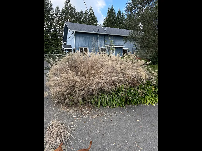 4200 Green Valley School Rd #C — Photo 1