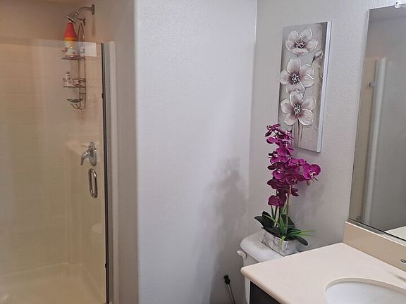 3rd image of 263 W Puerto Escondido Dr