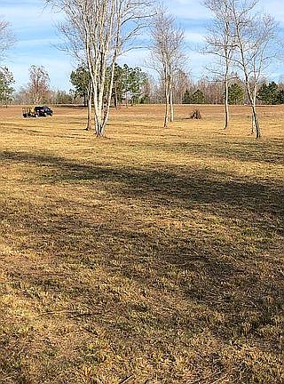2nd image of Lot 12 Timbercrest (cook)