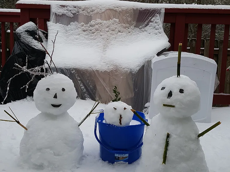 The year it snowed a lot.