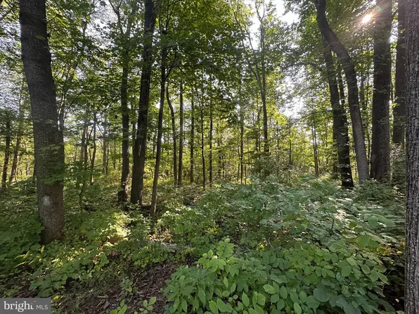 LOT 10 Powhatan Trl, Winchester, VA 22602