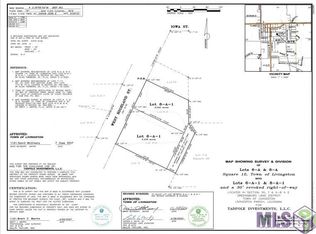 6-A-1 W Highland St, Livingston, LA 70754