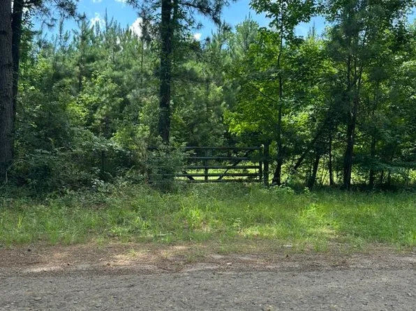 Tbd W Liberty Rd, Harleton, TX 75651