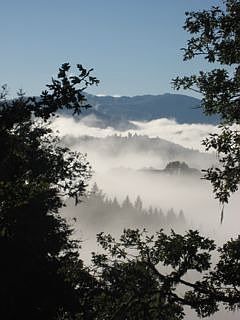 Live above the fog