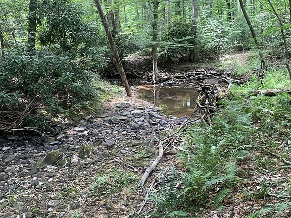 2nd image of 3311 Hanging Run Rd