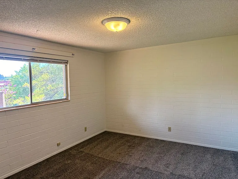 390 Cedar St #19 — Photo 10