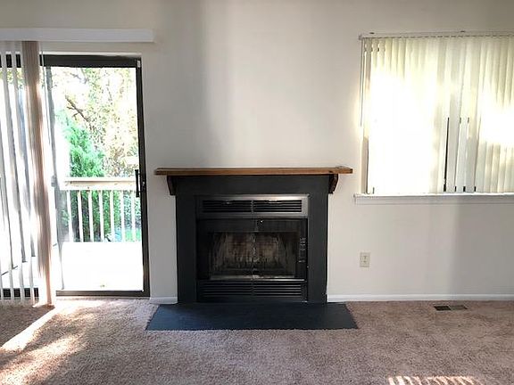 Wood Burning Fire Place