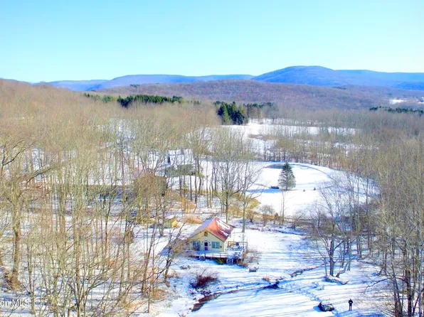 1949 Upper Meeker Hollow Road, Roxbury, NY 12474