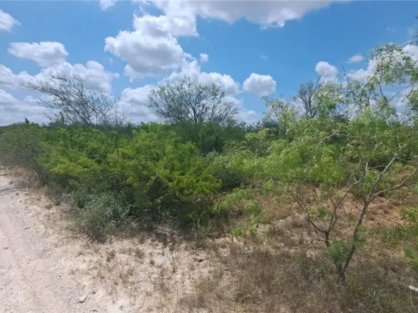 0 Township Road 18, San Diego, TX 78384