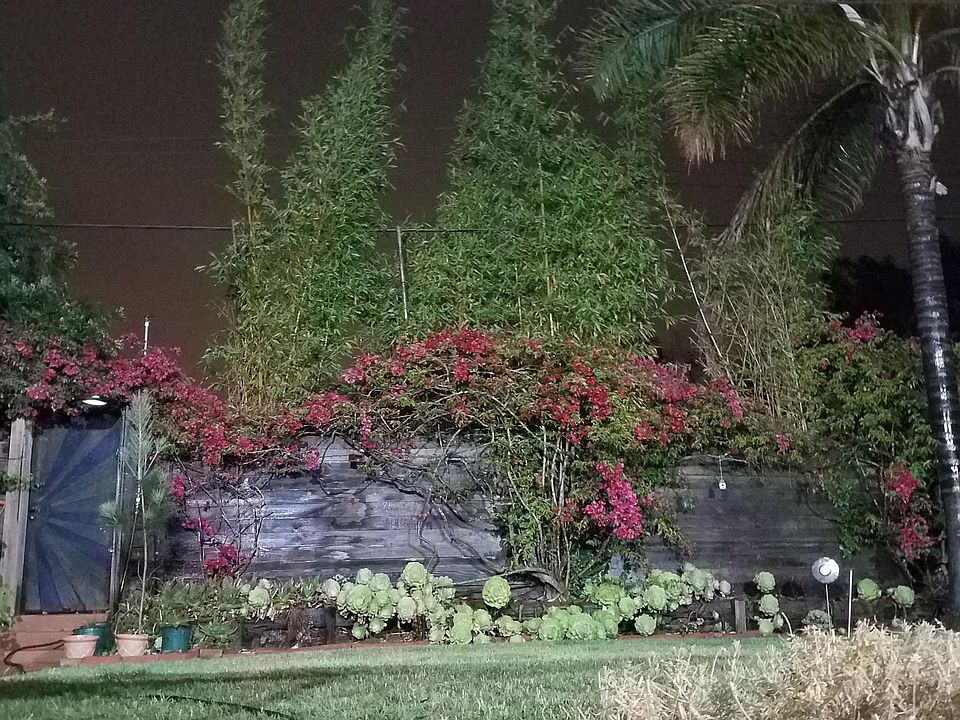 1st image of 9535 La Jolla Shores Dr