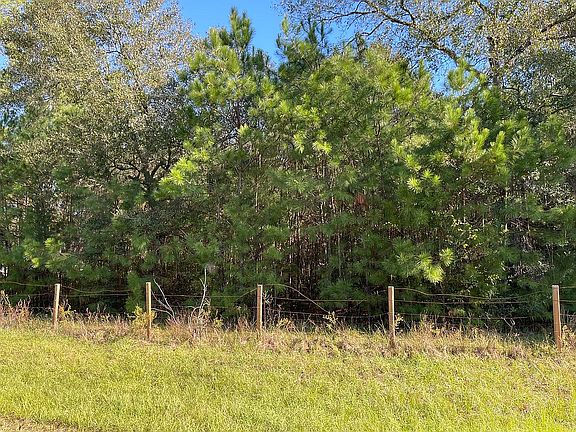 4th image of 17443 Rolling Hill Ln