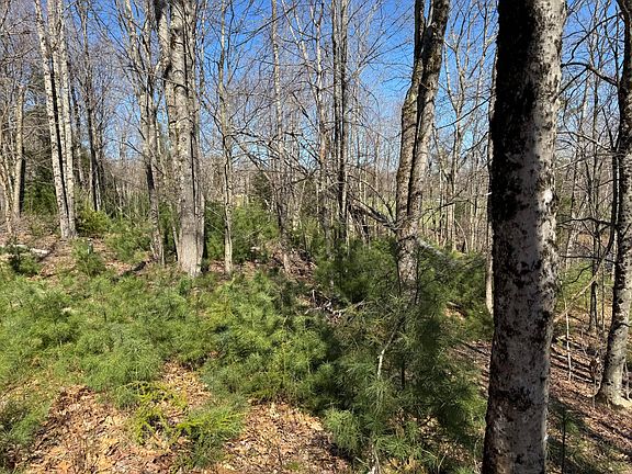 4th image of 330 Old County Road