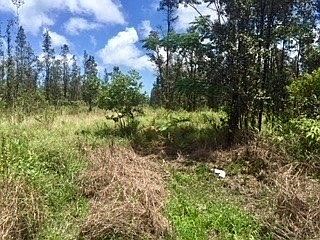 2nd image of Road 9 Koloa Maoli Lot 5455